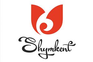 Бағалау парағы Шымкент қаласы білім басқармасының №40 Алпамыс батыр атындағы  мектеп-гимназиясы коммуналдық мемлекеттік мекемесі